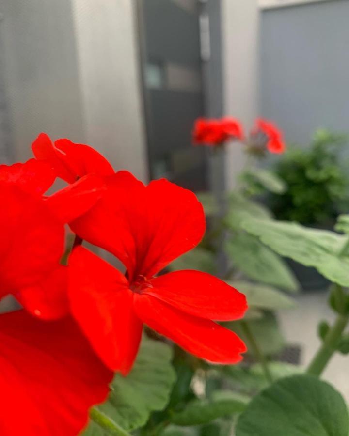 Villa Mare'S 1 스플리트 외부 사진