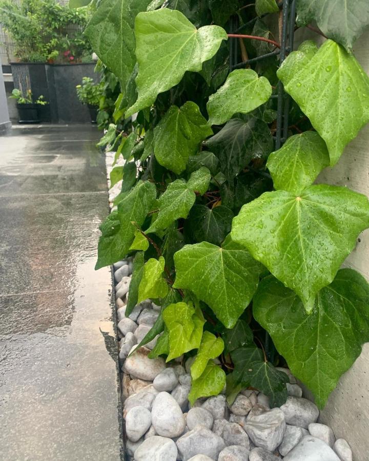 Villa Mare'S 1 스플리트 외부 사진